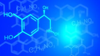 Chemische Thermodynamik