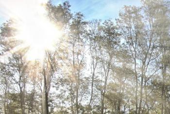 Sonnenstrahlung