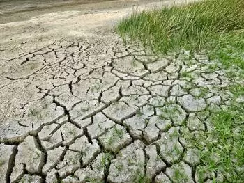 Klimawandel. Ursachen und Folgen