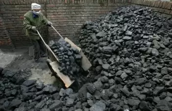 Welche Gesteinsart ist Kohle? Verwendungen, Typen und Formation