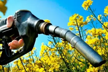 Biokraftstoffe als Energiequelle